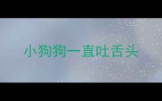 小狗狗一直吐舌头