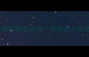 患糖尿病的边牧一天吃多少合适