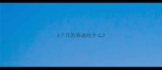 6个月的泰迪吃什么