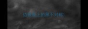 边牧脸上的黑不对称