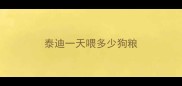 泰迪一天喂多少狗粮