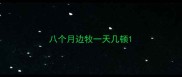 八个月边牧一天几顿