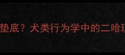 哈士奇智商排名为何垫底犬类行为学中的二哈现象与科学养宠指南