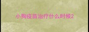 小狗疫苗治疗什么时候