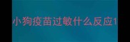 小狗疫苗过敏什么反应