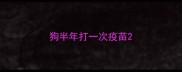 狗半年打一次疫苗