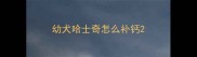 幼犬哈士奇怎么补钙