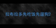 拉布拉多先吃饭先遛狗