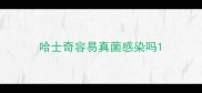 哈士奇容易真菌感染吗