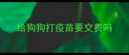 给狗狗打疫苗要交费吗