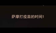 萨摩打疫苗的时间