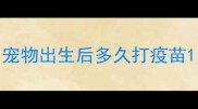 宠物出生后多久打疫苗
