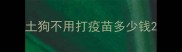 土狗不用打疫苗多少钱