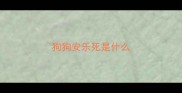 狗狗安乐死是什么