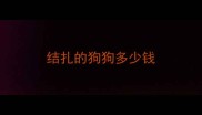 结扎的狗狗多少钱