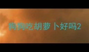 狗狗吃胡萝卜好吗