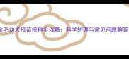 金毛幼犬疫苗接种全攻略科学护理与常见问题解答