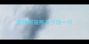 宠物树袋熊多少钱一只