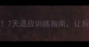 边牧幼犬到新环境必看7天适应训练指南让拆家小恶魔秒变乖巧天使