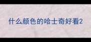 什么颜色的哈士奇好看