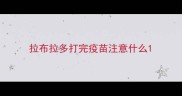 拉布拉多打完疫苗注意什么