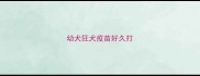 幼犬狂犬疫苗好久打