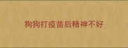 狗狗打疫苗后精神不好
