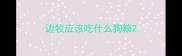 边牧应该吃什么狗粮