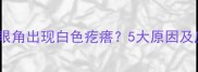 拉布拉多眼角出现白色疙瘩5大原因及应对指南