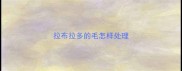 拉布拉多的毛怎样处理