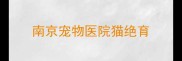 南京宠物医院猫绝育