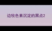 边牧色素沉淀的黑点