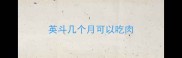 英斗几个月可以吃肉