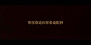 香槟泰迪和棕泰迪配种