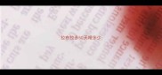 拉布拉多50天喂多少