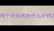 两个月幼犬吃什么补钙