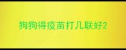 狗狗得疫苗打几联好