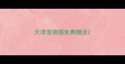 天津宠物猫免费赠送
