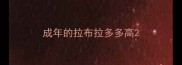 成年的拉布拉多多高