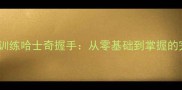 如何轻松训练哈士奇握手从零基础到掌握的完整教程