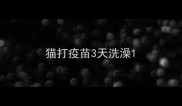 猫打疫苗3天洗澡