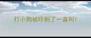 打小狗被吓到了一直叫