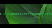 警惕2个月大猫咪体温多少正常正确测量方法与异常症状全