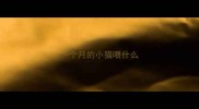 一个月的小猫喂什么