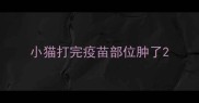 小猫打完疫苗部位肿了
