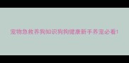 宠物急救养狗知识狗狗健康新手养宠必看