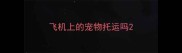 飞机上的宠物托运吗
