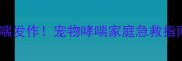 拉布拉多突然哮喘发作宠物哮喘家庭急救指南与预防措施全