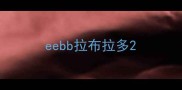 eebb拉布拉多