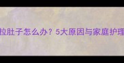 猫咪拉肚子怎么办5大原因与家庭护理指南